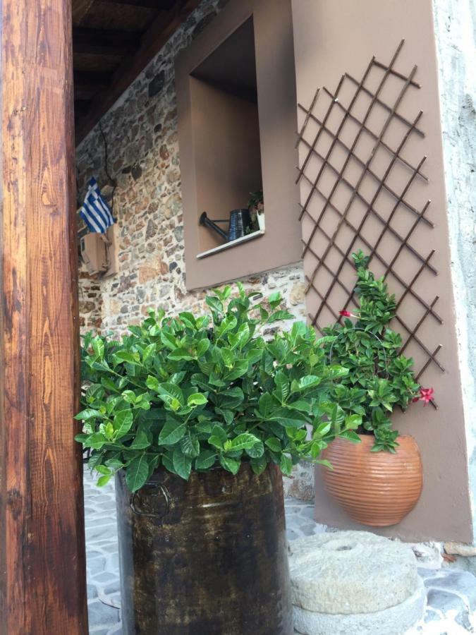 Areti's Traditional House * Apollona